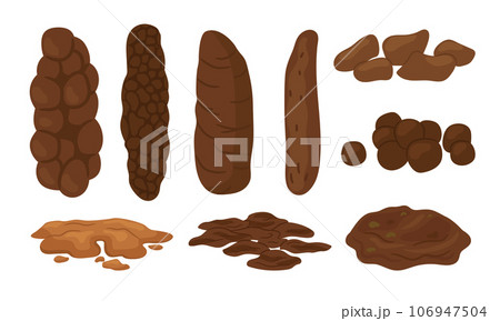 Bristol stool form scale with faeces type images Bristol stool form scale with faeces type images 106947504