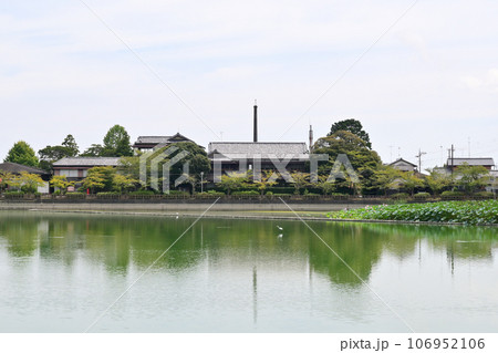 八鶴湖 千葉県東金市 八鶴湖 千葉県東金市 106952106