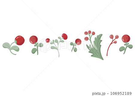 Forest berries hand drawn red balls 106952189