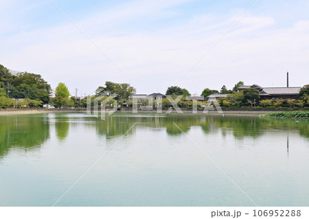 八鶴湖　千葉県東金市 106952288