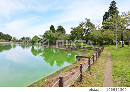 八鶴湖　千葉県東金市 106952303