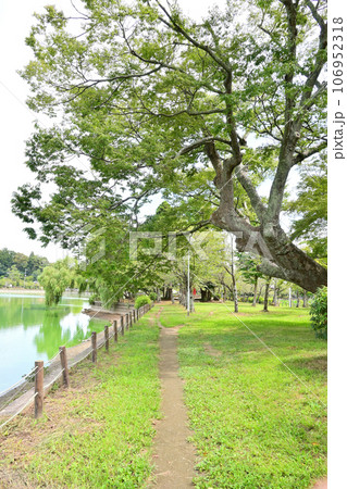 八鶴湖　千葉県東金市 106952318