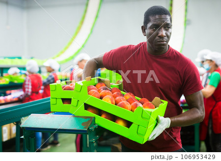 Man working at fruit storage carrying box 106953429