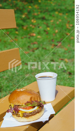 公園のベンチとハンバーガー テイクアウトなどのイメージ 公園のベンチとハンバーガー テイクアウトなどのイメージ 106954192