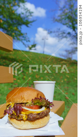 公園のベンチとハンバーガー テイクアウトなどのイメージ 公園のベンチとハンバーガー テイクアウトなどのイメージ 106954194