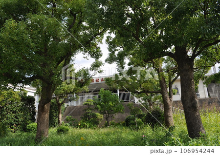 南海電鉄和歌山港線　和歌山港駅 106954244