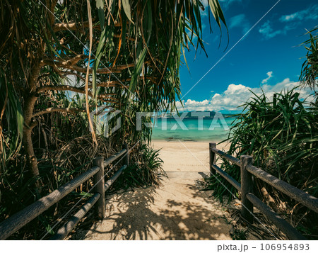 【旅行】白い砂浜と青い海のビーチ　沖縄の名護市　高解像度のハイレゾ 106954893