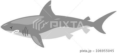 メガロドン 106955045
