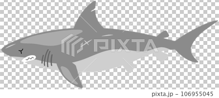 メガロドン 106955045