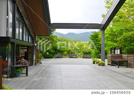 箱根湿生花園の景色 106956050