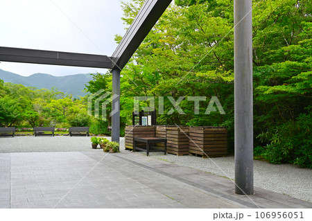 箱根湿生花園の景色 箱根湿生花園の景色 106956051
