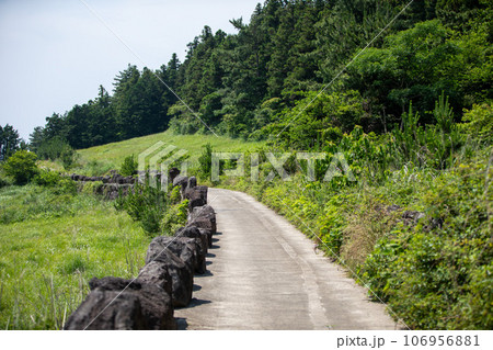 Geumoreum, a famous paragliding spot on Jeju Island, South Korea 106956881
