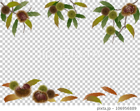 栗の枝と落葉 栗の枝と落葉 106956889