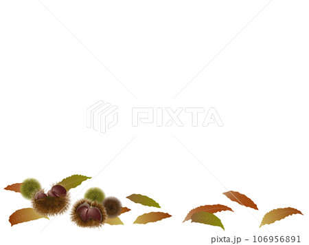 栗と落葉 栗と落葉 106956891