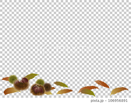 栗と落葉 栗と落葉 106956891