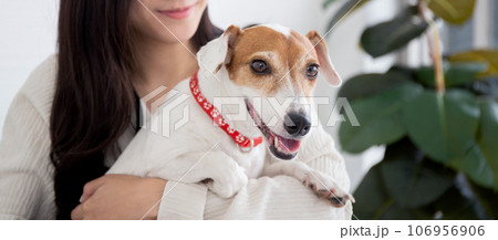 Young asian woman carrying with dog with love in living room at home. 106956906