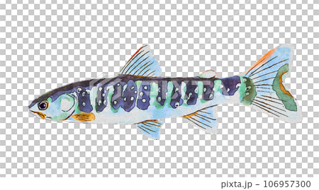 水彩画のマス 106957300