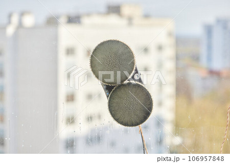A window cleaner robot washes glass against the backdrop of multi-storey buildings. 106957848