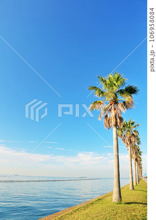 千葉県　青空の千葉フォルニア 106958084