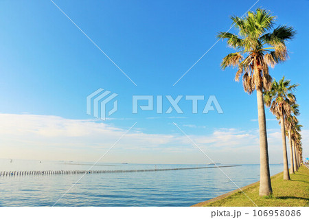 千葉県　青空の千葉フォルニア 106958086