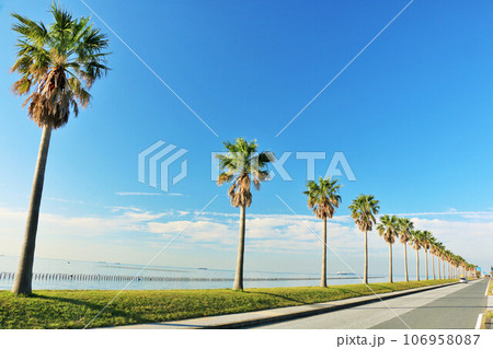 千葉県 青空の千葉フォルニア 千葉県 青空の千葉フォルニア 106958087