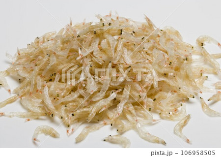 乾燥小エビ 106958505