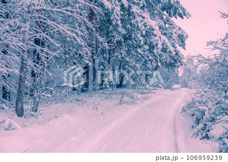 Road in the winter forest in the morning. Trees are covered with snow. Winter nature. Christmas background 106959239