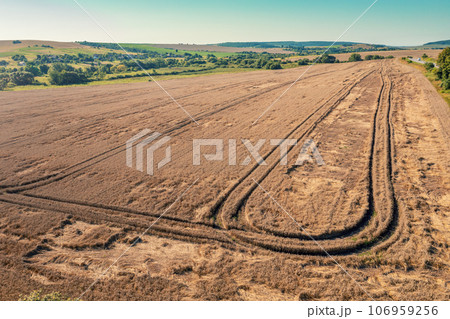 Aerial view of a wheat field. Summer rural landscape Aerial view of a wheat field. Summer rural landscape 106959256
