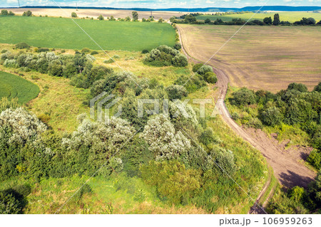 View from above of countryside. View of cultivated fields and green grooves on the hills in summer 106959263