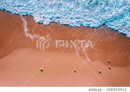 The surf on the sandy beach. View from above. Seagulls sit on the sand 106959412