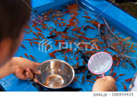 金魚すくい、夏、夏休みのイメージカット(夏祭り) 金魚すくい、夏、夏休みのイメージカット(夏祭り) 106959435