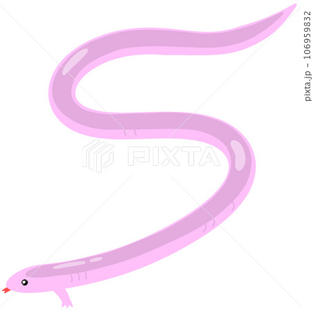 ミツユビアホロテトカゲ 106959832