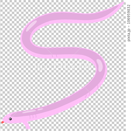 ミツユビアホロテトカゲ 106959832