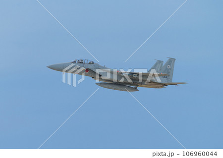航空自衛隊第303飛行隊F-15DJイーグル 106960044