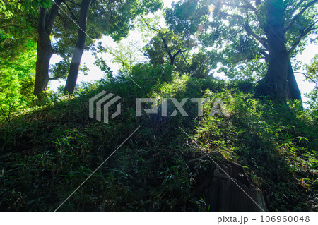 木曽呂の富士塚 106960048