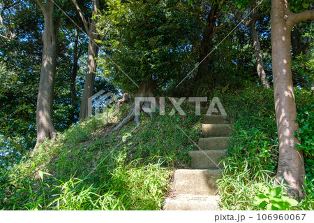 富士塚の石段 106960067