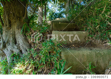 参道の石段 参道の石段 106960071