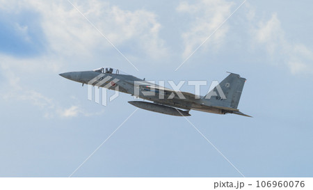 航空自衛隊第303飛行隊F-15Jイーグル上昇 106960076