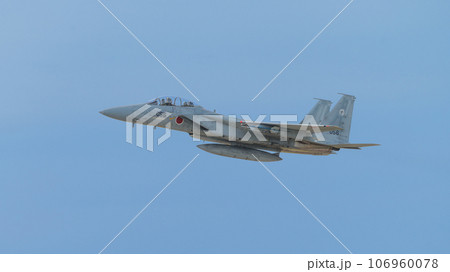 航空自衛隊第303飛行隊F-15DJイーグル 航空自衛隊第303飛行隊F-15DJイーグル 106960078