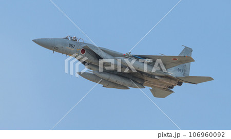 航空自衛隊第303飛行隊F-15イーグル 航空自衛隊第303飛行隊F-15イーグル 106960092