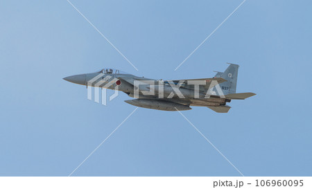 航空自衛隊第303飛行隊F-15イーグル 106960095