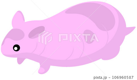 スキニーゴールデンハムスター 106960587