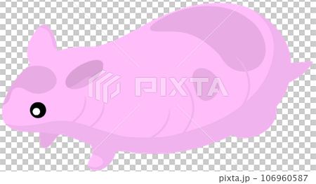 スキニーゴールデンハムスター 106960587