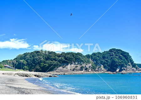 高知県 土佐清水 足摺岬 竜串海岸 足摺海洋館 足摺海底館と海岸 高知県 土佐清水 足摺岬 竜串海岸 足摺海洋館 足摺海底館と海岸 106960831