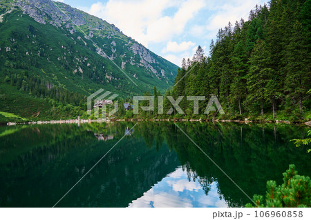 Spruce forest near blue lake in mountains. Tatra National Park in Poland. Panoramic view on Morskie Oko or Sea Eye lake in Five lakes valley. Nature landscape 106960858