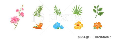 Tropical Flora with Leaf and Flower Vector Set Tropical Flora with Leaf and Flower Vector Set 106960867