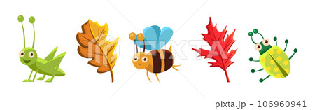 Funny Insect Small Crawling Animal and Leaf Vector Set 106960941