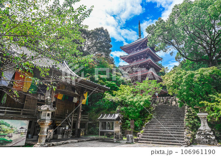 高知　五台山　竹林寺　四国八十八箇所霊場　五重塔 106961190