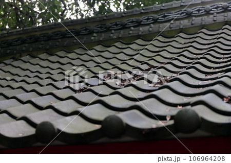 瓦屋根 イメージ 瓦屋根 イメージ 106964208