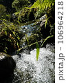 小川のせせらぎ 106964218